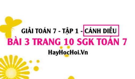 Giải bài 3 trang 10 Toán 7 Tập 1 SGK Cánh Diều